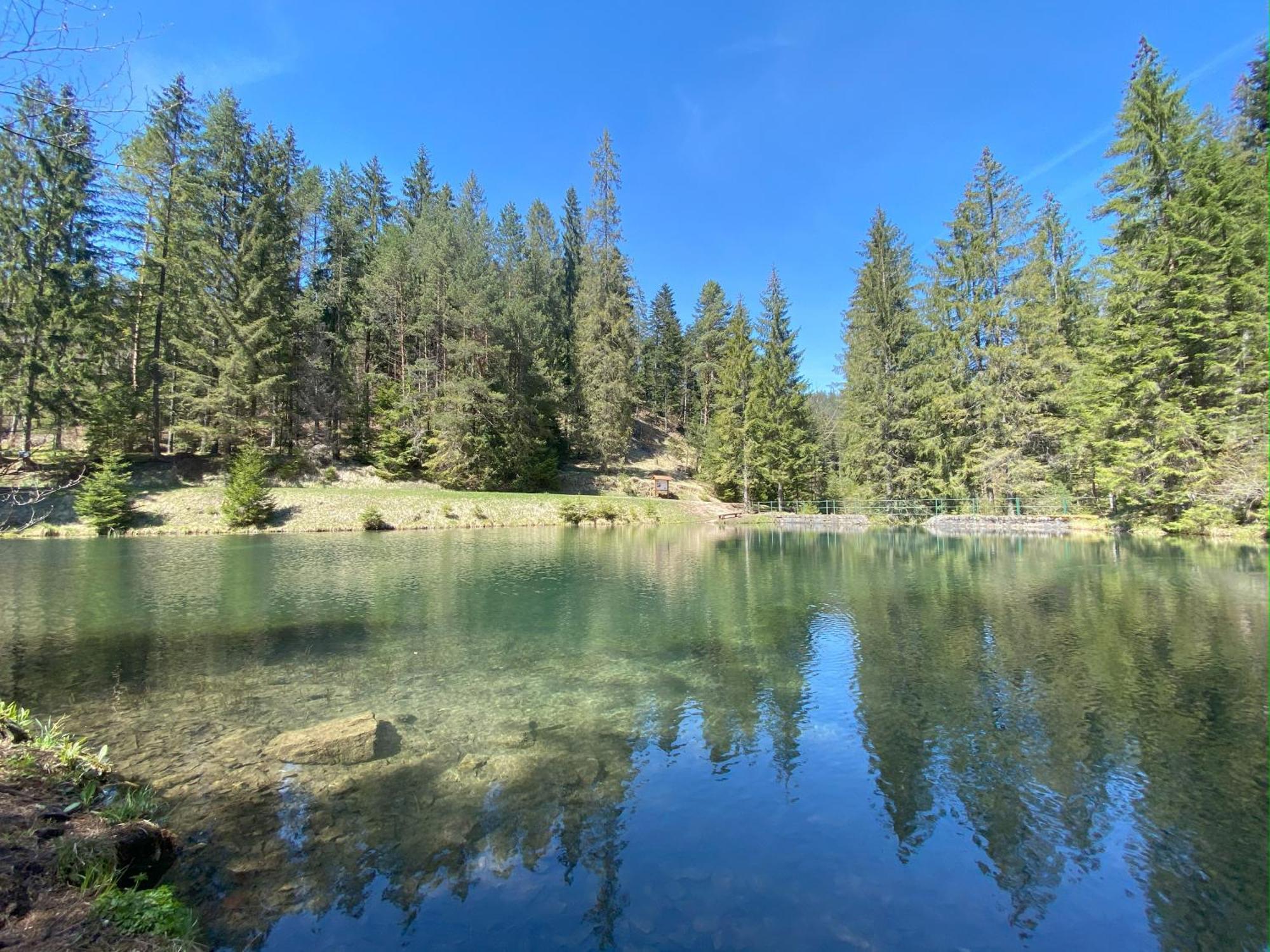 Penzion Pod Guglom Mlynky Esterno foto