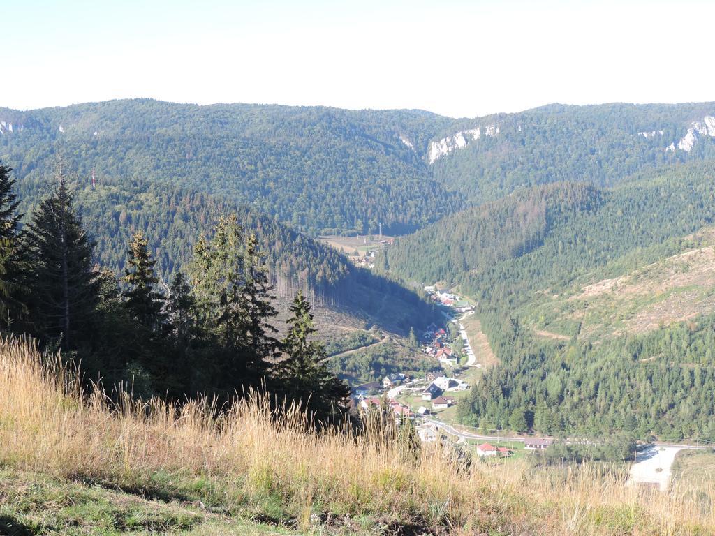 Penzion Pod Guglom Mlynky Esterno foto